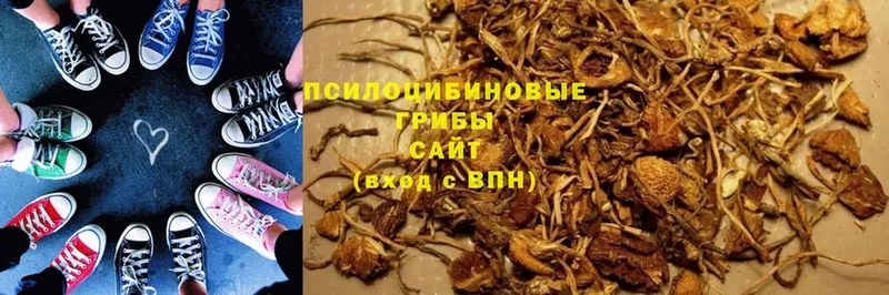 Галлюциногенные грибы GOLDEN TEACHER  закладки  Рославль 